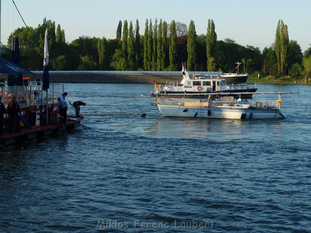 Motor Segelboot mit Motorschaden trieb gegen Alte Liebe bei Koeln Rodenkirchen P165.JPG